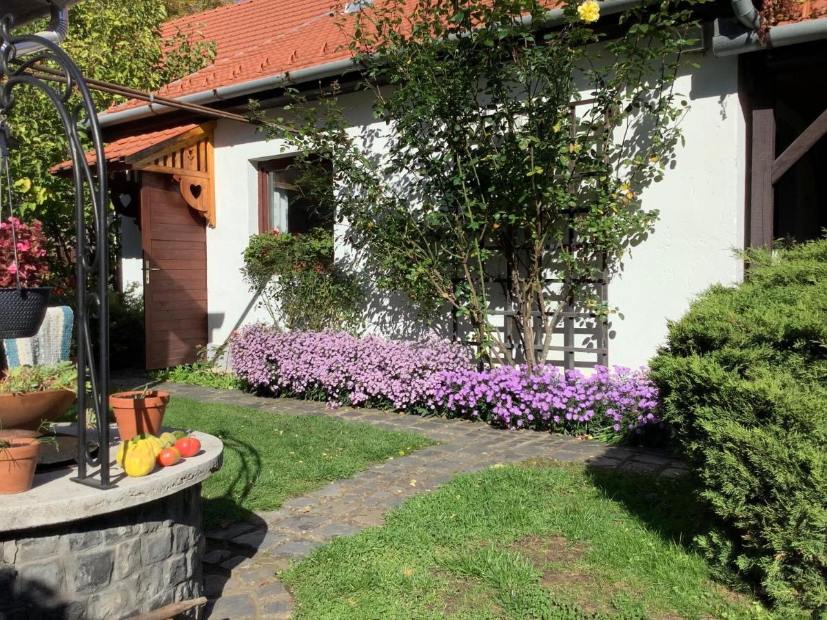 Magnolia Garden Apartment Miskolc Ngoại thất bức ảnh