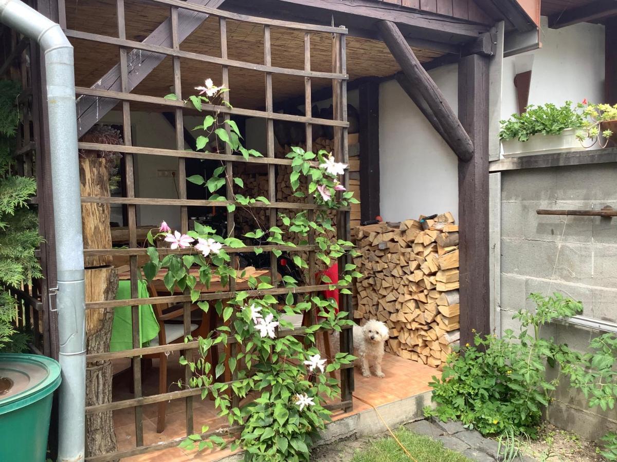Magnolia Garden Apartment Miskolc Ngoại thất bức ảnh