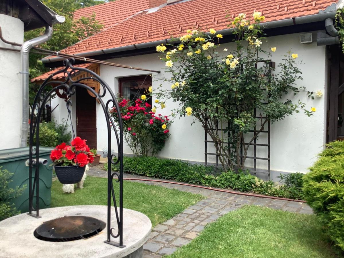 Magnolia Garden Apartment Miskolc Ngoại thất bức ảnh